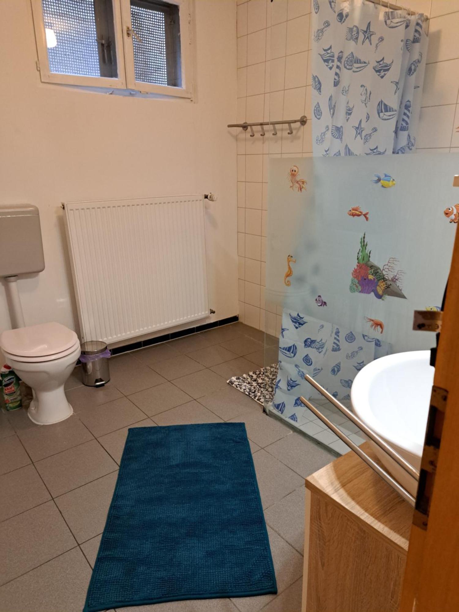 Wohnung Mit 2 - 3 Zimmern Ballenberg Екстер'єр фото